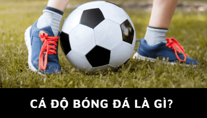 Cá độ bóng đá là gì?